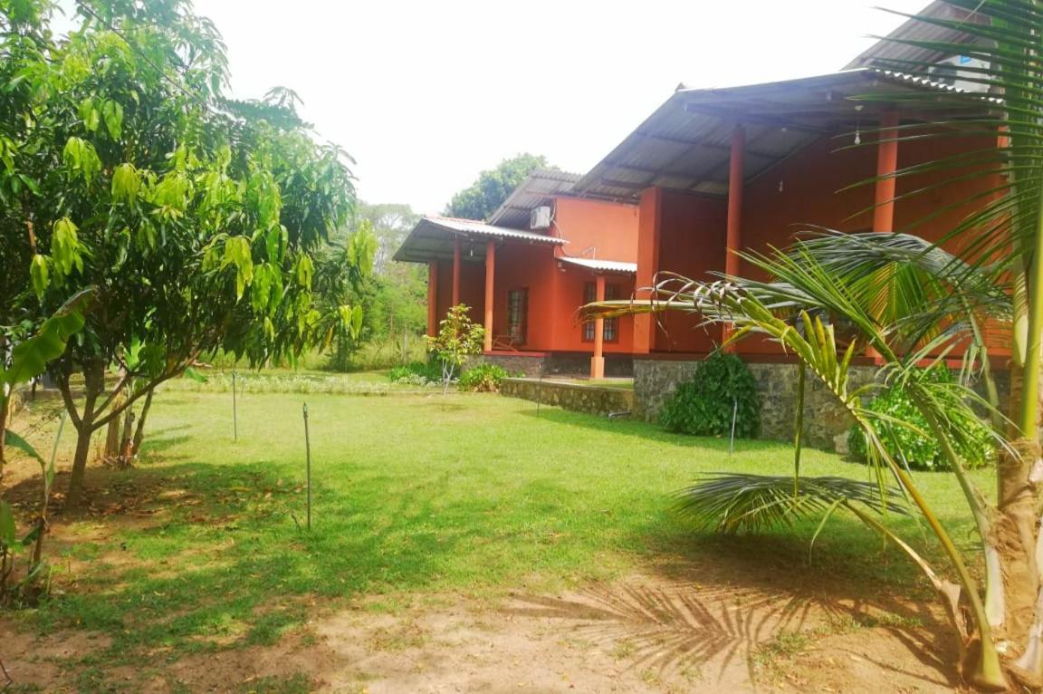 Nil Bawana Nature Resort 达瓦拉维 外观 照片
