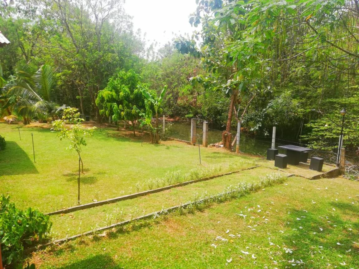 Nil Bawana Nature Resort 达瓦拉维 外观 照片