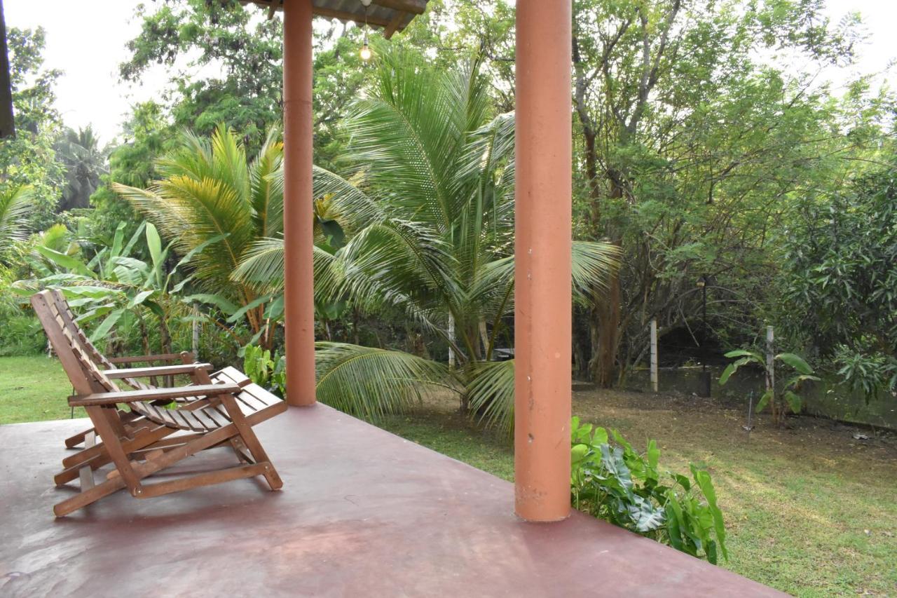 Nil Bawana Nature Resort 达瓦拉维 外观 照片