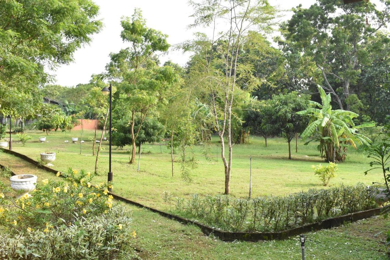 Nil Bawana Nature Resort 达瓦拉维 外观 照片