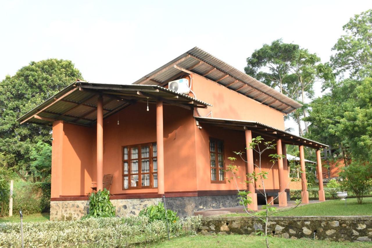 Nil Bawana Nature Resort 达瓦拉维 外观 照片
