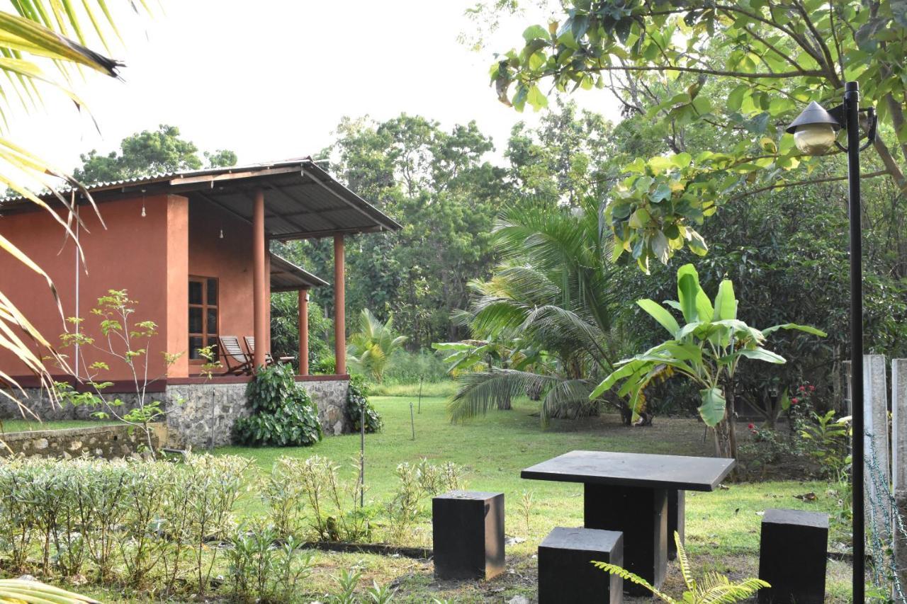 Nil Bawana Nature Resort 达瓦拉维 外观 照片